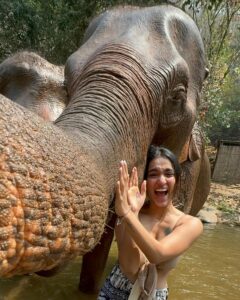 saniya-iyappan-elephants-thailand-07.jpg 1 saniya iyappan elephants thailand 07